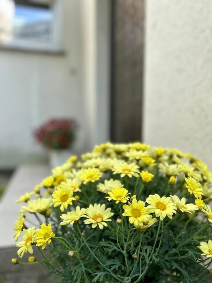 オルデンブルクGemuetliches Familienhaus - Fuehlt Euch Wohlアパートメント エクステリア 写真